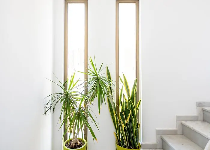 Blue Waters Kos Centre Apartmán